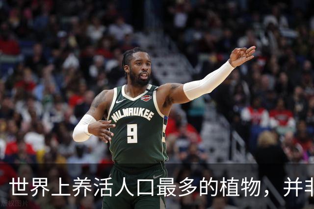 世界上养活人口最多的植物，并非小麦和玉米，而是来自亚洲的奇迹